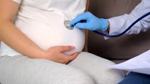 Médico Examina Vientre Una Mujer Embarazada Enfoque Selectivo Medicina — Vídeo de stock