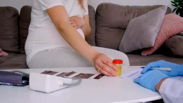 Una Mujer Embarazada Hace Una Prueba Orina Enfoque Selectivo Medicina — Vídeos de Stock
