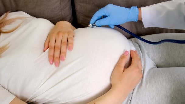 Läkaren Undersöker Magen Gravid Kvinna Selektivt Fokus Medicin — Stockvideo