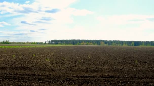 Tractorul Câmp Cultivă Solul Concentrare Selectivă Natura — Videoclip de stoc
