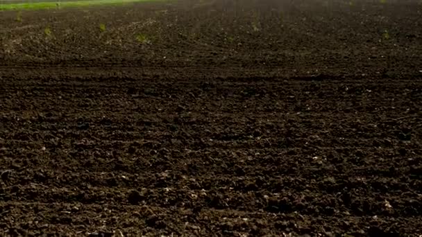 畑に土壌を耕した 選択的フォーカス — ストック動画