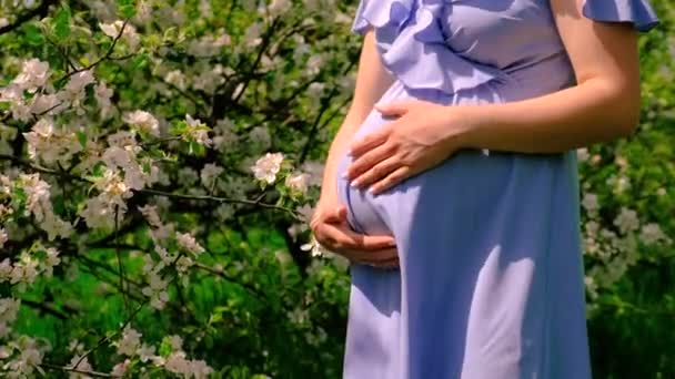 Zwangere Vrouw Tuin Van Bloeiende Appelbomen Selectieve Focus Natuur — Stockvideo