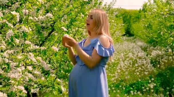 Zwangere Vrouw Bloeiende Tuin Allergie Selectieve Focus Natuur — Stockvideo