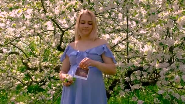 Ciężarna Kobieta Ogrodzie Kwitnących Jabłoni Usg Wybiórcze Skupienie Przyroda — Wideo stockowe