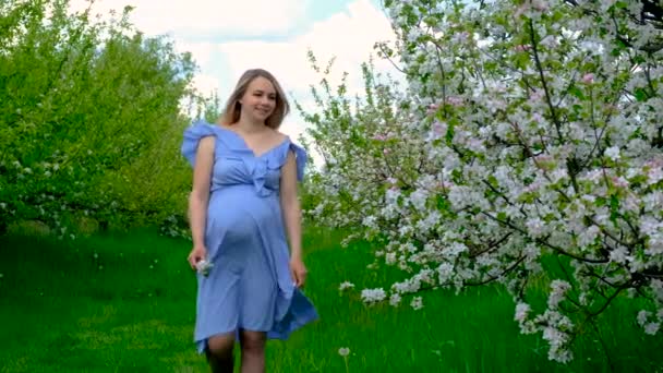 Ciężarna Kobieta Ogrodzie Kwitnących Jabłoni Wybiórcze Skupienie Przyroda — Wideo stockowe