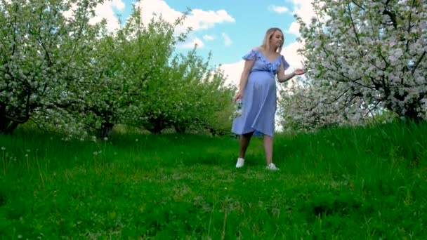 Gravid Kvinna Trädgården Blommande Äppelträd Selektivt Fokus Natur — Stockvideo