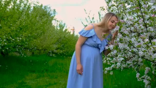 Gravid Kvinna Trädgården Blommande Äppelträd Selektivt Fokus Natur — Stockvideo