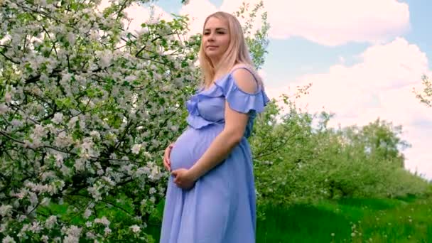 Mujer Embarazada Jardín Manzanos Florecientes Enfoque Selectivo Naturaleza — Vídeo de stock