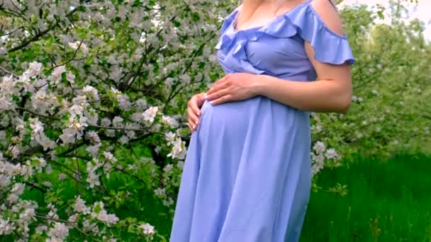 Zwangere Vrouw Tuin Van Bloeiende Appelbomen Selectieve Focus Natuur — Stockvideo