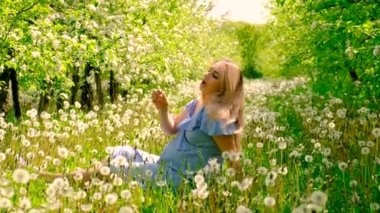 Bahçesinde karahindiba olan hamile bir kadın. Seçici odaklanma. Doğa.