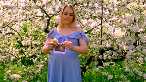 Mujer Embarazada Jardín Los Manzanos Florecientes Ultrasonido Enfoque Selectivo Naturaleza — Vídeo de stock