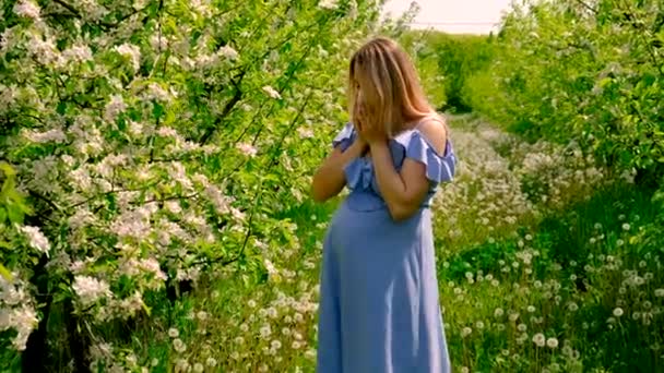 Schwangere Blüht Gartenallergie Selektiver Fokus Natur — Stockvideo