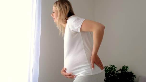 Έγκυος Πληγώνει Την Πλάτη Της Επιλεκτική Εστίαση Σπίτι — Αρχείο Βίντεο