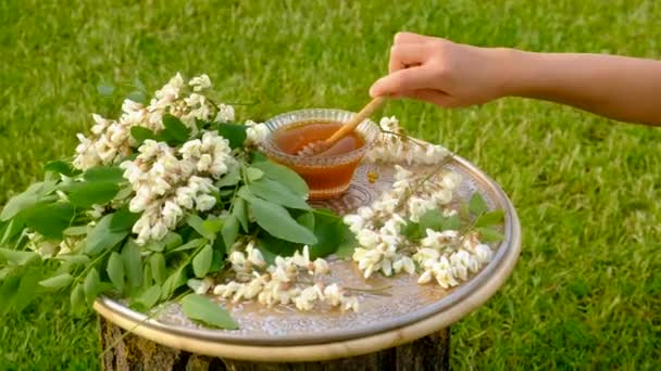 Miele Acacia Giardino Concentrazione Selettiva Alimenti — Video Stock