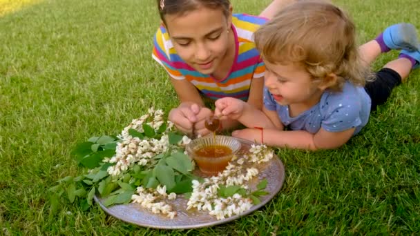 Uma Criança Come Mel Uma Árvore Acácia Jardim Foco Seletivo — Vídeo de Stock