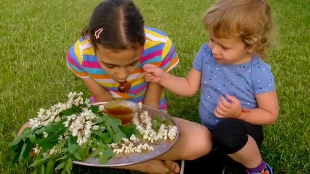 Ένα Παιδί Τρώει Μέλι Από Ένα Δέντρο Ακακίας Στον Κήπο — Αρχείο Βίντεο