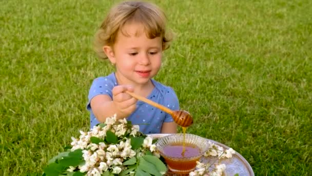 Ένα Παιδί Τρώει Μέλι Από Ένα Δέντρο Ακακίας Στον Κήπο — Αρχείο Βίντεο