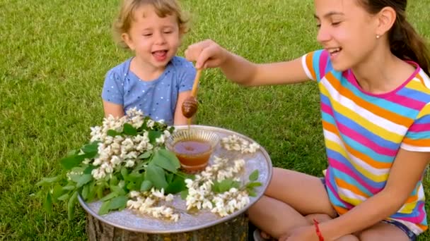 Uma Criança Come Mel Uma Árvore Acácia Jardim Foco Seletivo — Vídeo de Stock