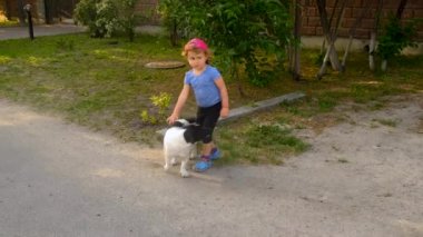 Bir çocuk sokakta bir köpekle oynuyor. Seçici odaklanma. Hayvan..