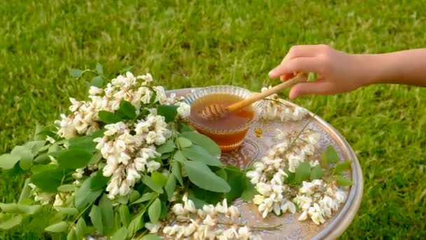 Bahçedeki Akasyadan Bal Seçici Odaklanma Yiyecek — Stok video