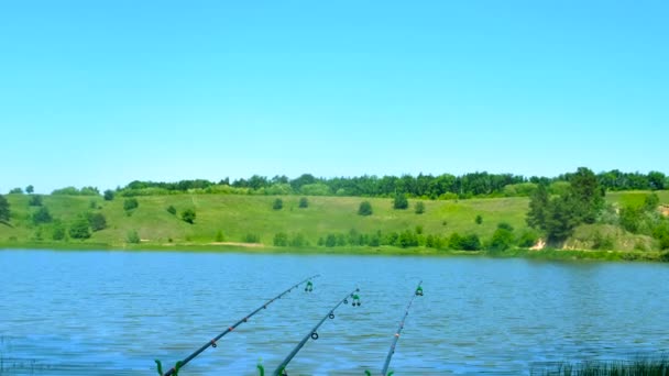 湖中的自然钓鱼人捕鱼 有选择的重点 — 图库视频影像
