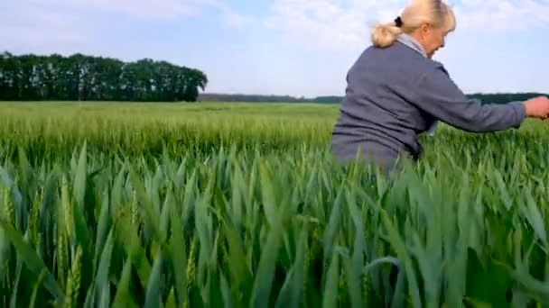 밭에서 농사를 여자가 살펴보고 있습니다 선택적 집중입니다 — 비디오