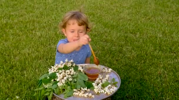 Dziecko Miód Drzewa Akacjowego Ogrodzie Wybiórcze Skupienie Żywność — Wideo stockowe