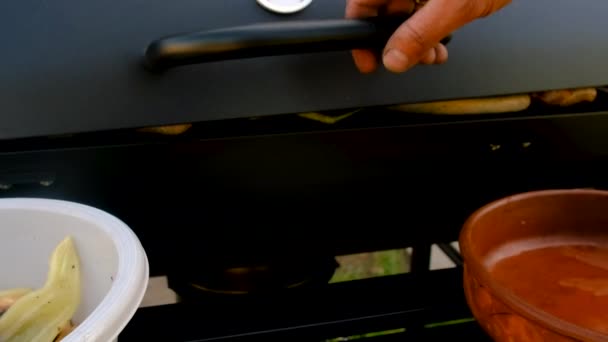 Ясо Овочі Барбекю Смажать Грилі Вибірковий Фокус Їжа — стокове відео