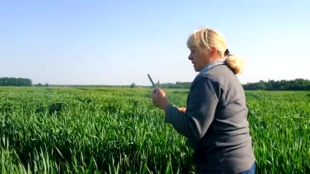 麦田里的一位女农场主正在检查 有选择的重点 — 图库视频影像