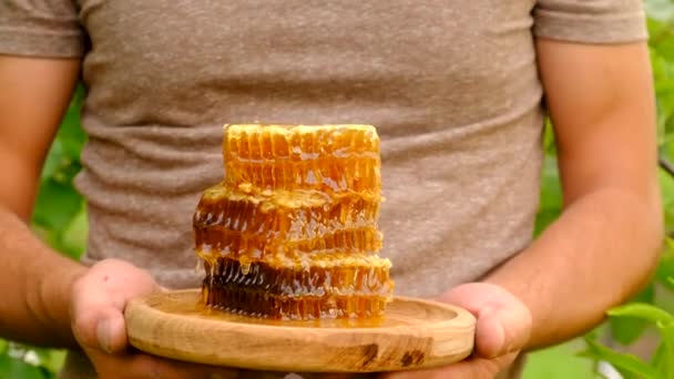 Συγκομιδή Μελιού Στα Χέρια Μελισσοκόμου Στον Κήπο Επιλεκτική Εστίαση Τρόφιμα — Αρχείο Βίντεο