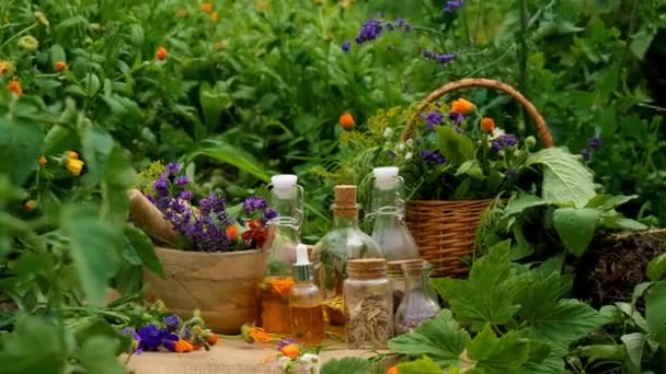植物和香草的修补和萃取物 有选择的重点 — 图库视频影像