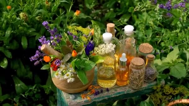 Tinkturer Och Extrakt Växter Och Örter Selektivt Fokus Natur — Stockvideo