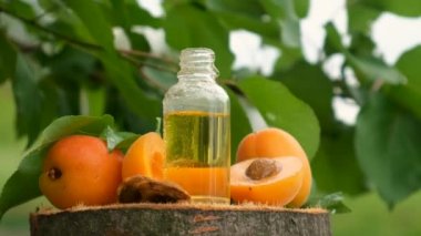 Şişedeki kayısı çekirdeği yağı. Seçici odaklanma. Doğa.