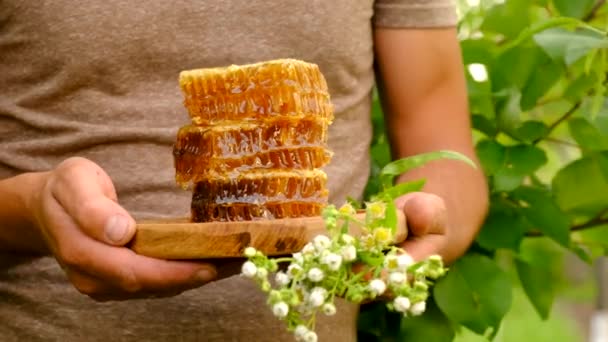 庭の養蜂家の手に蜂蜜の収穫 選択的フォーカス 食べ物 — ストック動画