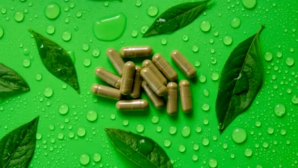 Homeopatia Pozostawia Tabletki Kapsułki Wybiórcze Skupienie Charakter — Wideo stockowe
