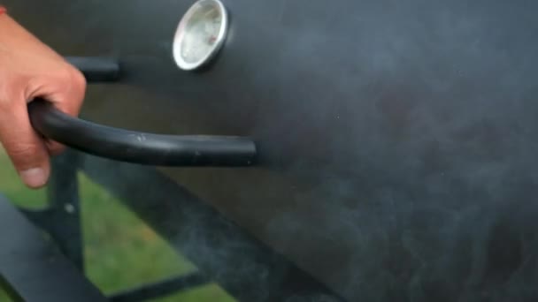Viande Les Légumes Barbecue Sont Frits Sur Grille Concentration Sélective — Video