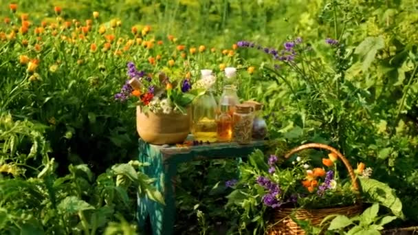 植物和香草的修补和萃取物 有选择的重点 — 图库视频影像