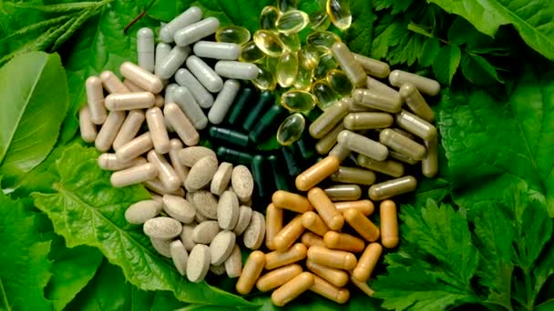 Homöopathie Hinterlässt Tabletten Und Kapseln Selektiver Fokus Natur — Stockvideo