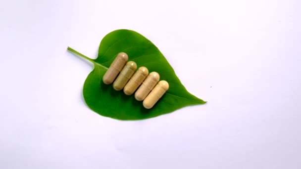 Homeopatia Pozostawia Tabletki Kapsułki Wybiórcze Skupienie Charakter — Wideo stockowe