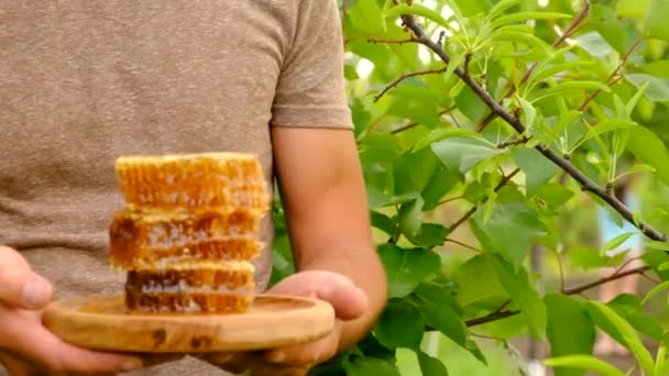 Zbiory Miodu Rękach Pszczelarza Ogrodzie Wybiórcze Skupienie Żywność — Wideo stockowe