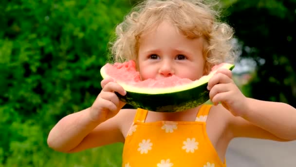 Child Eats Watermelon Summer Selective Focus Kid — Stock Video