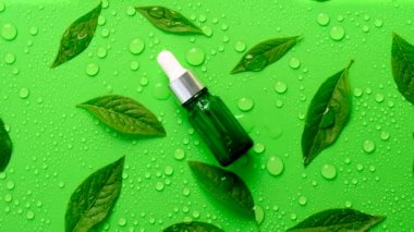 Bitki ve bitkilerden yağlar ve damlalar. Seçici odaklanma. Doğa.