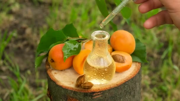 Apricot Kernel Oil Bottle Selective Focus Nature — Stock Video