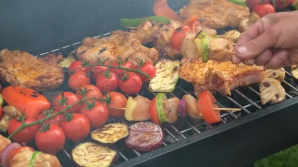 Barbecue Meat Vegetables Fried Grill Selective Focus Food — Stock Video