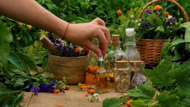 Tinkturer Och Extrakt Växter Och Örter Selektivt Fokus Natur — Stockvideo
