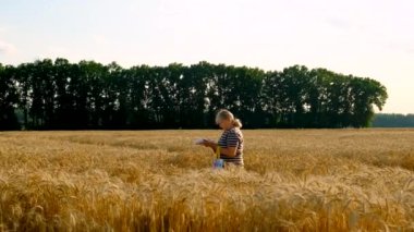 Buğday tarlasında bir çiftçi. Seçici odaklanma. Doğa,