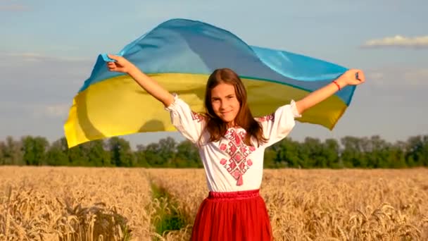 ウクライナの国旗を持つ小麦の畑にいる子供たち 選択的な焦点 キッド キッド — ストック動画