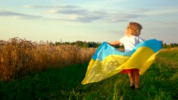 Enfant Dans Champ Blé Avec Drapeau Ukraine Concentration Sélective Enfant — Video