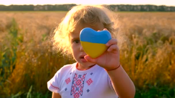Niño Campo Trigo Con Bandera Ucrania Enfoque Selectivo Naturaleza — Vídeos de Stock