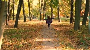 Sonbahar parkındaki çocuk. Seçici odaklanma. Doğa.